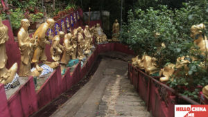 Монастырь Десяти тысяч Будд (фото 19)