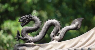Дракон, как символ китайской культуры