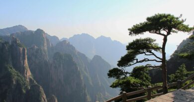 Китайские национальные парки: природные чудеса Поднебесной.