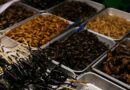 За Гранью Риса и Лапши: Путешествие в Мир Китайской Гастрономической Экзотики (Не для Слабонервных!)