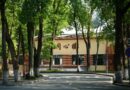 «Мама, Лошадь или Ругань?»: 5 Типичных Ошибок в Китайских Тонах, Которые Выдают в Вас Русскоговорящего (и Как их Исправить)